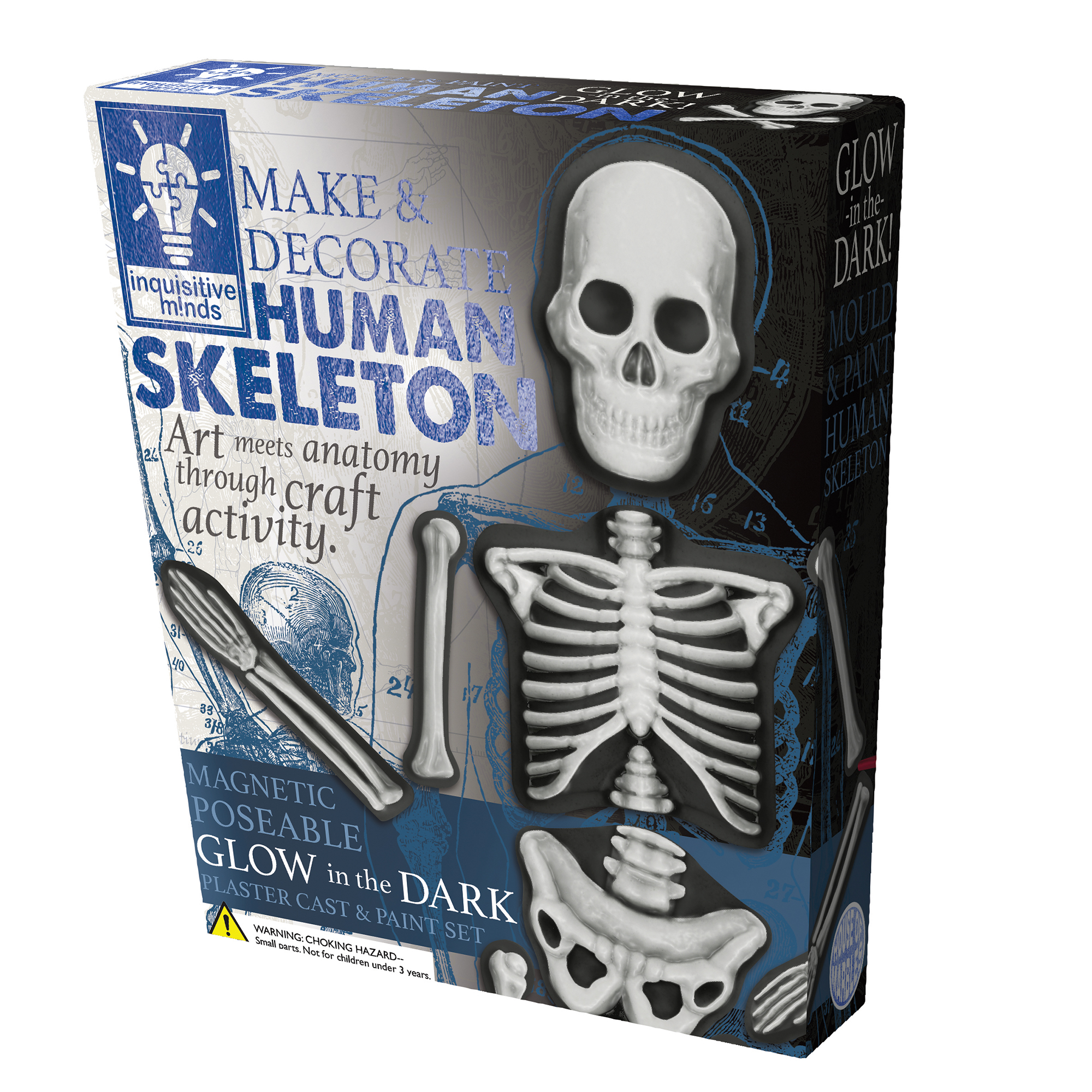 Make & Decorate Human Skeleton
