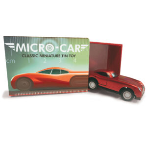 Micro-Cars Counter Display