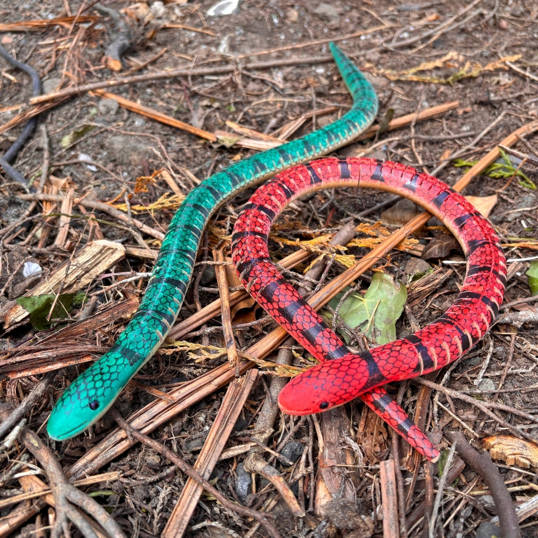 Wooden Twisty Snakes Counter Display - Image 9